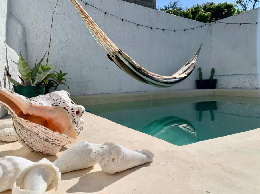 Casita Azul Colonial En El Centro De Merida. Dış mekan fotoğraf