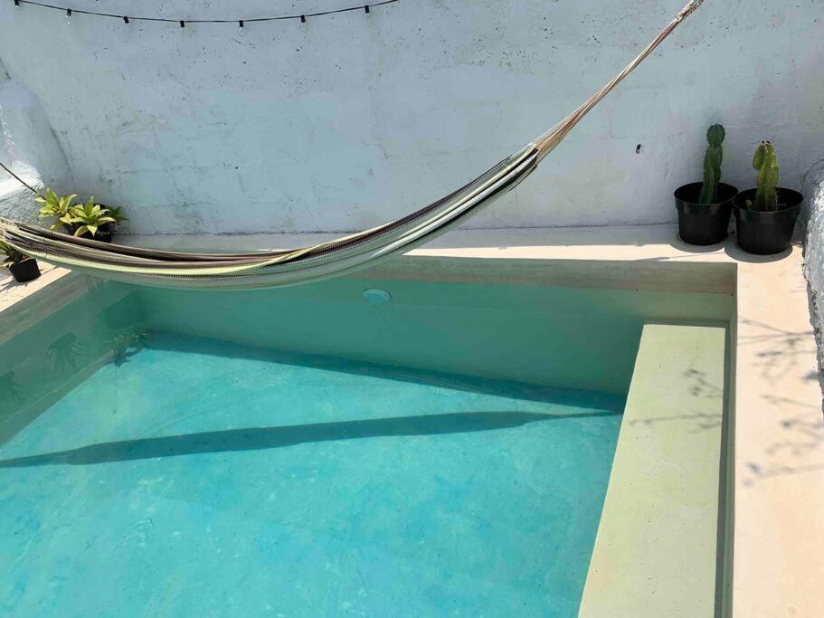 Casita Azul Colonial En El Centro De Merida. Dış mekan fotoğraf
