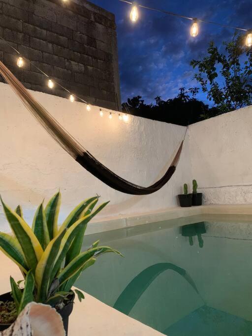 Casita Azul Colonial En El Centro De Merida. Dış mekan fotoğraf