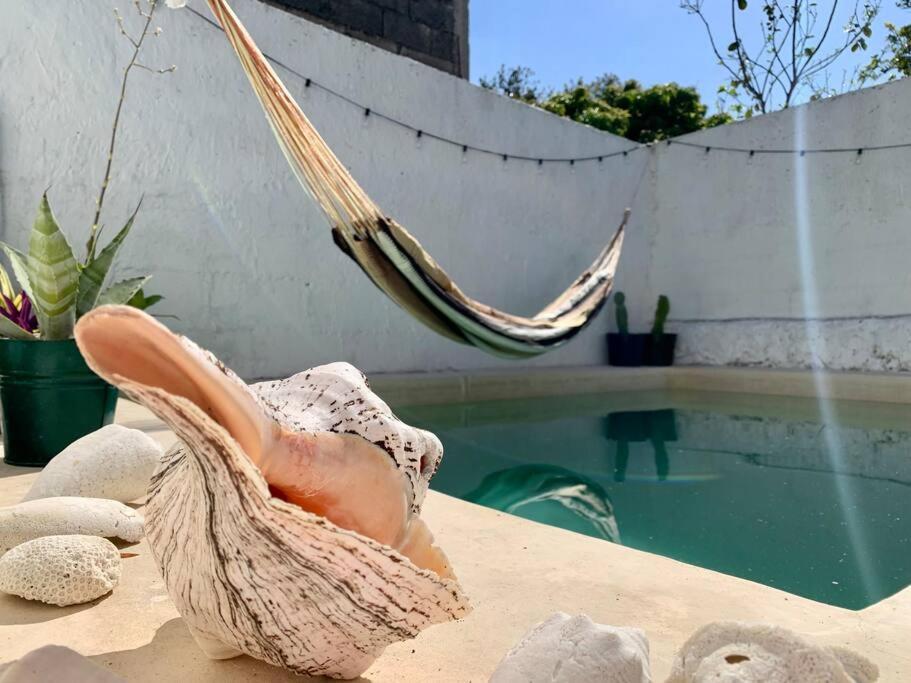 Casita Azul Colonial En El Centro De Merida. Dış mekan fotoğraf