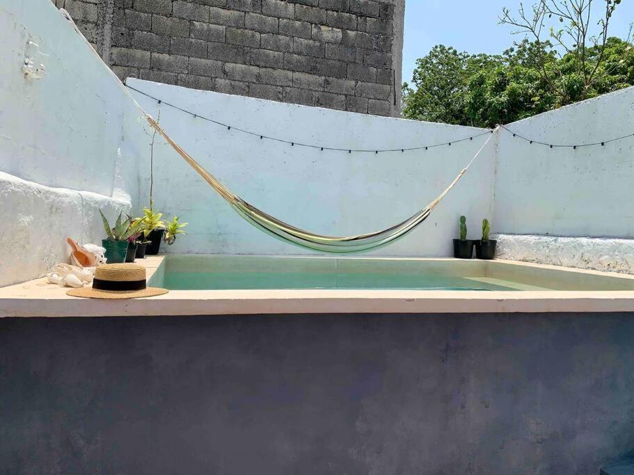 Casita Azul Colonial En El Centro De Merida. Dış mekan fotoğraf