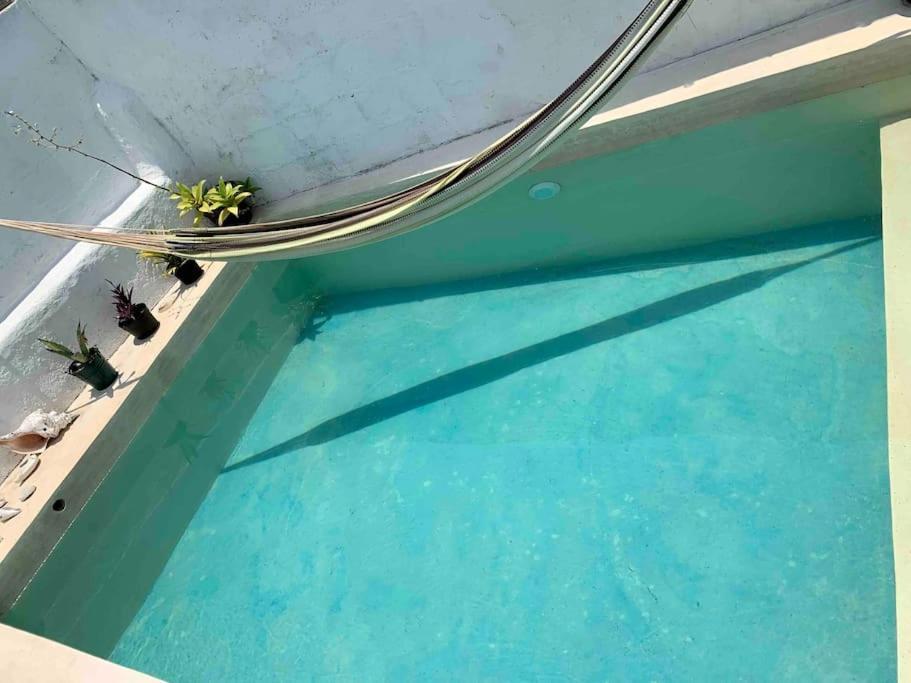 Casita Azul Colonial En El Centro De Merida. Dış mekan fotoğraf